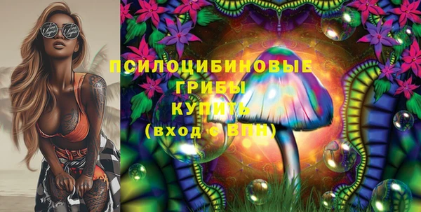 PSILOCYBIN Абдулино