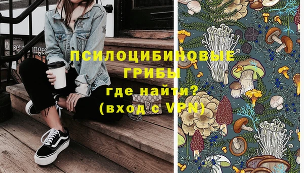PSILOCYBIN Абинск