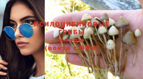 PSILOCYBIN Абдулино