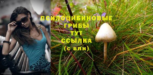 тгк Абаза